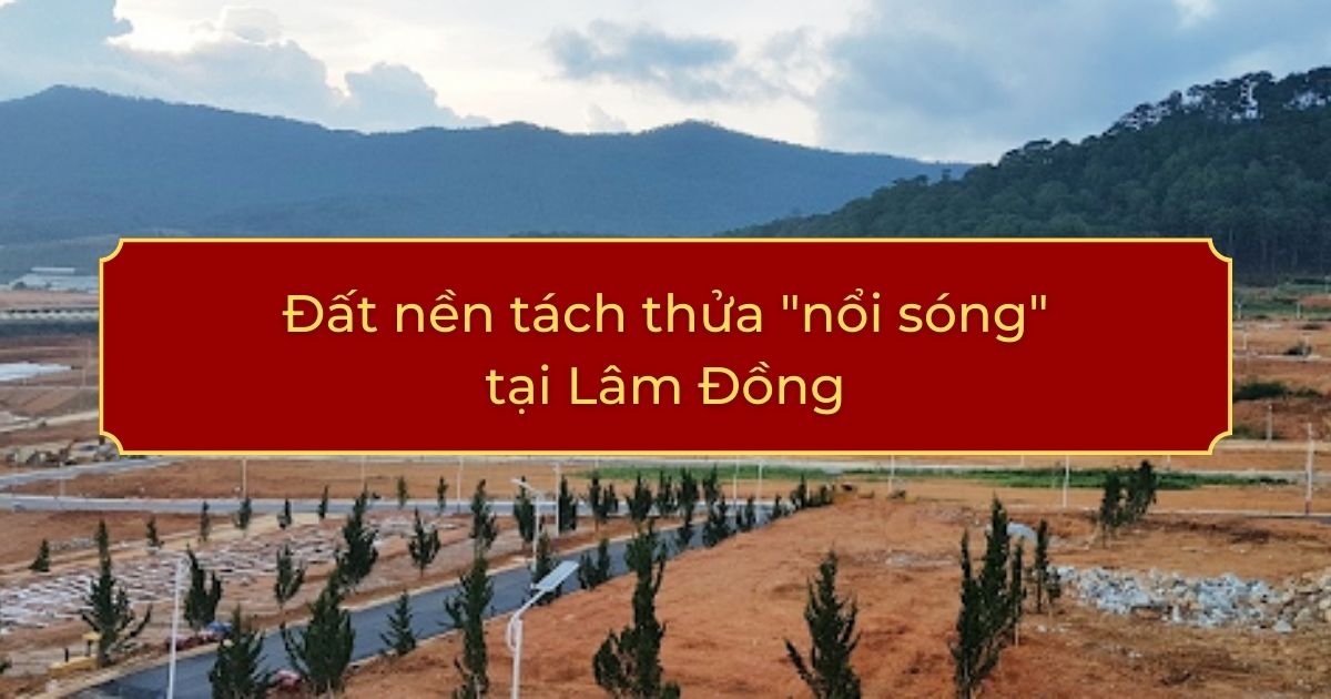 Đất nền tách thửa "nổi sóng" tại Lâm Đồng
